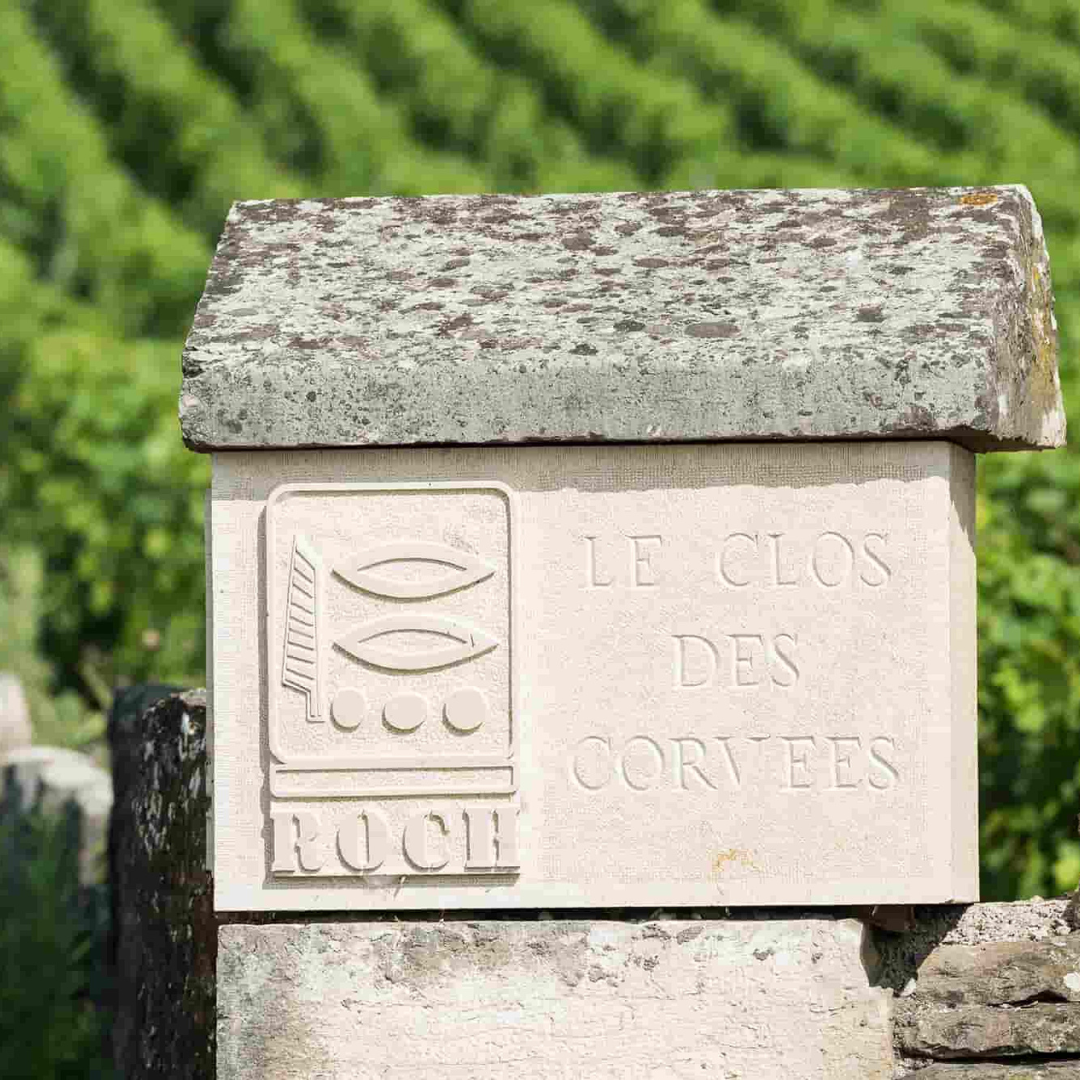 Domaine Prieuré Roch: Burgundy’s Hidden Jewel on Gaston’s Wine List